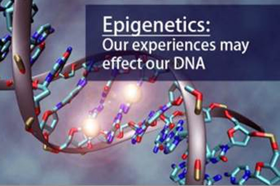 voorstelling DNA - Epigenetics: our experiences may effects our DNA